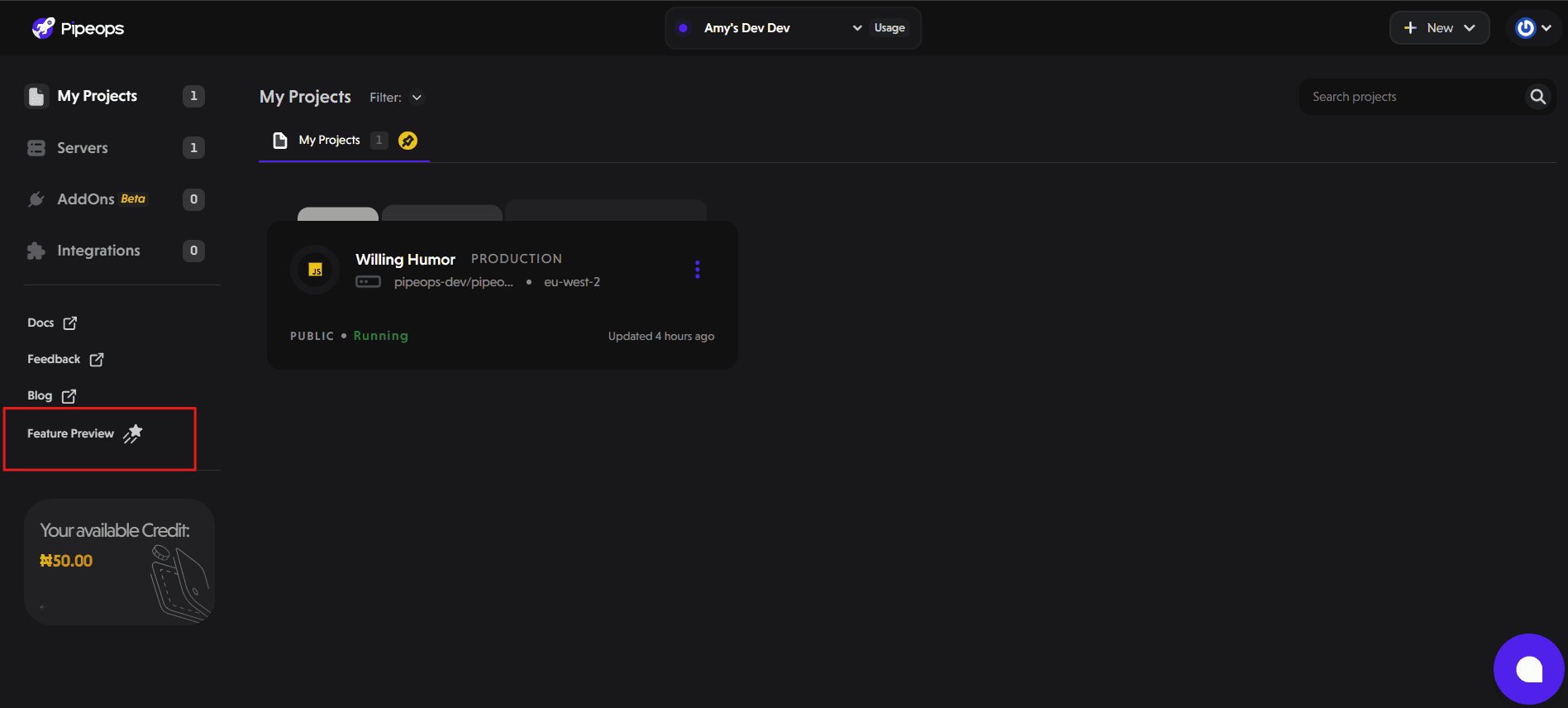 Feature Preview